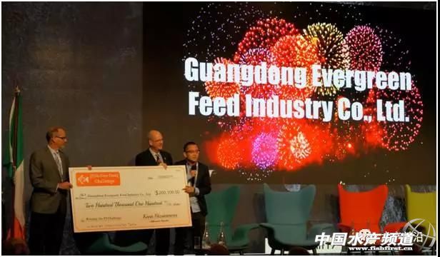 恒兴公棚14年获奖鸽照片,恒兴颁奖典礼