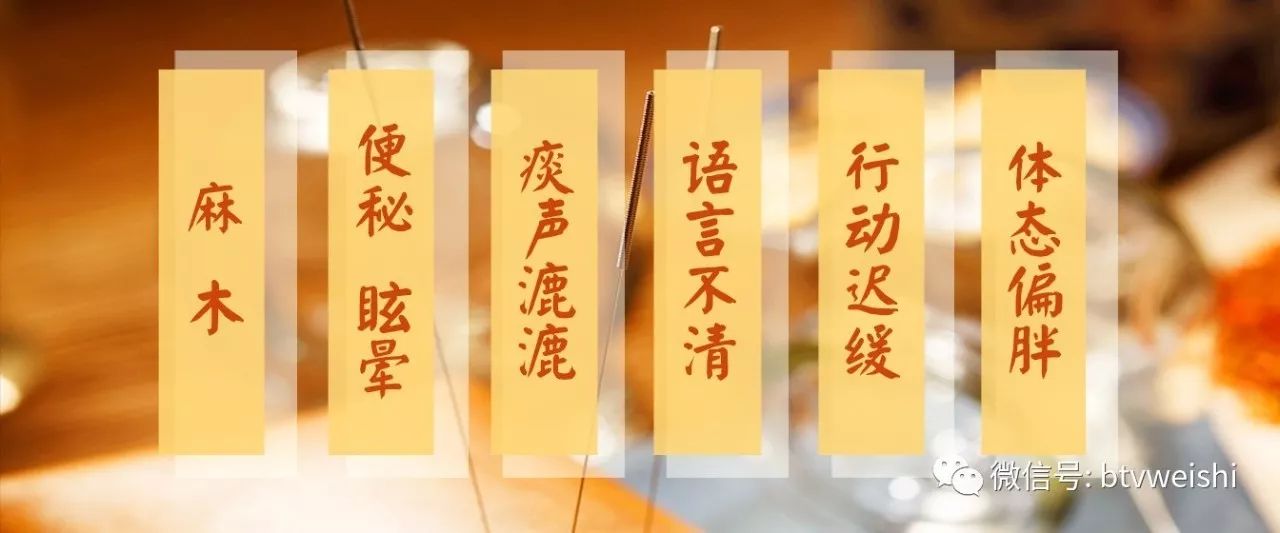 养生堂今日播出视频,养生堂一针一灸保健康