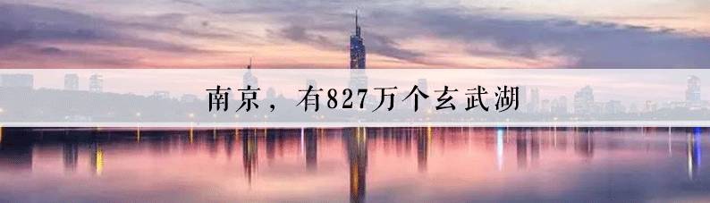 南京气质优雅的都市白领,南京颜值高的工作
