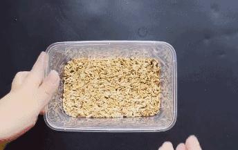 农村老鼠太多教你一招灭鼠的绝招,如何自制灭鼠最佳方法