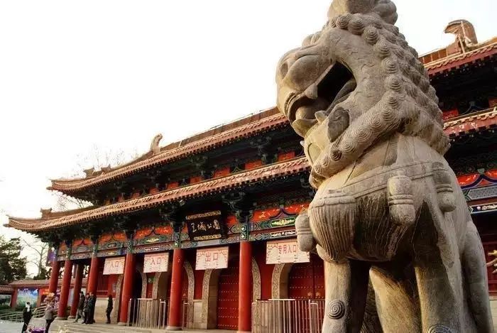 洛阳旅游攻略必去的地方最新,最新洛阳旅游攻略一日游详细路线