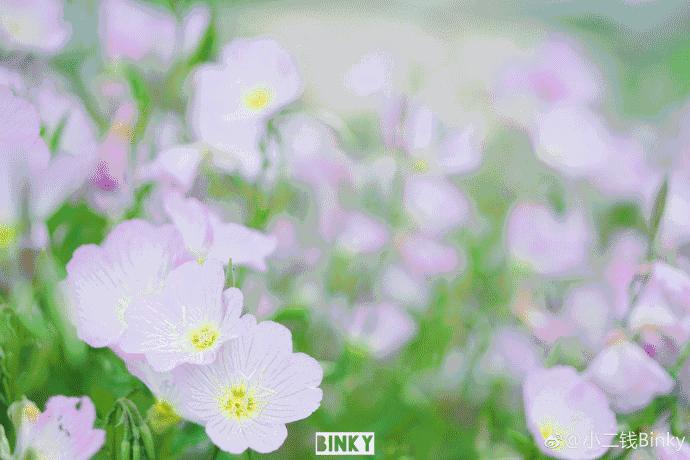 福州一中名校排名,福州一中全校排名