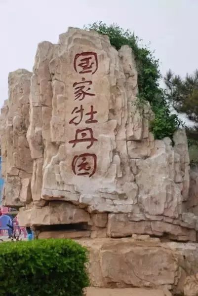 洛阳旅游攻略必去的地方最新,最新洛阳旅游攻略一日游详细路线