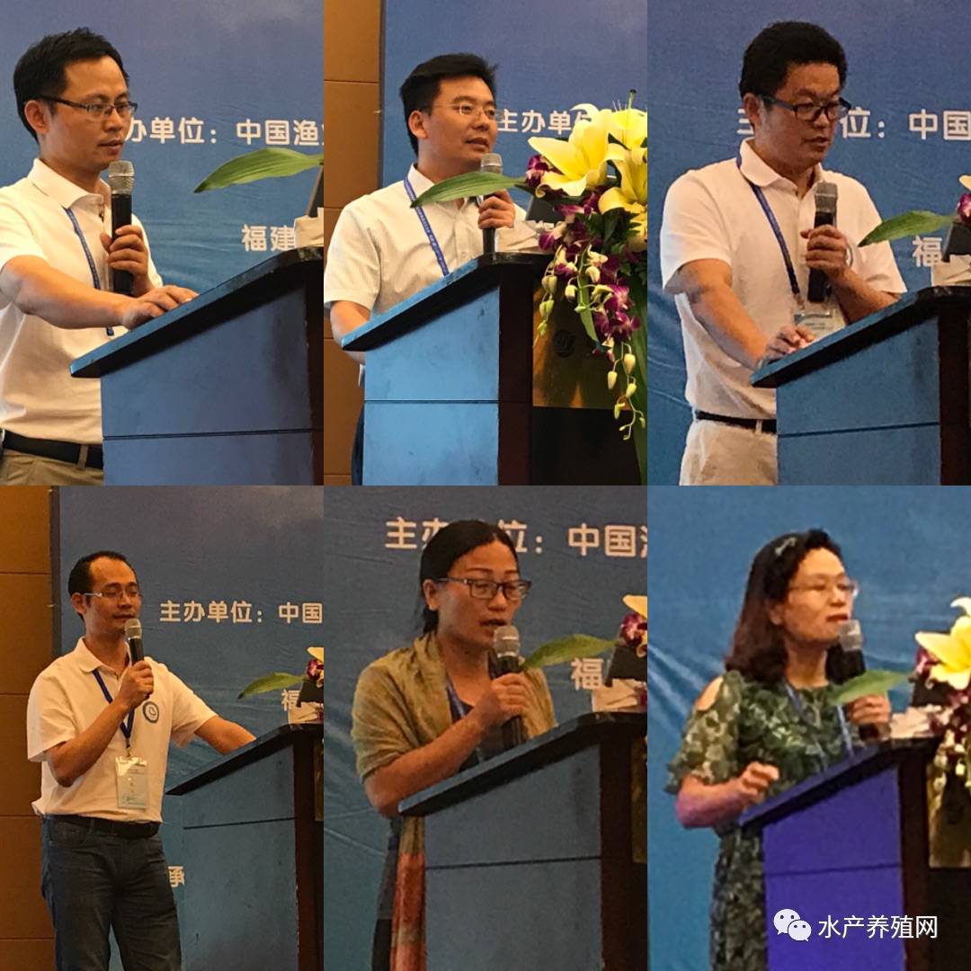 一半以上鳗鱼靠出口，被誉为“水产领域研究最后的一个大金矿”，繁华背后却有隐患