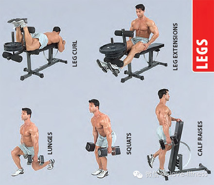 撸铁动作图解大全,健身训练八大经典动作健身干货