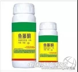 茶麸加什么除杂鱼效果好,茶麸配合淘米水