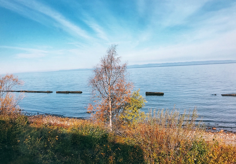 豆瓣日记:几乎所有人都说我是疯了才会坐火车去俄罗斯