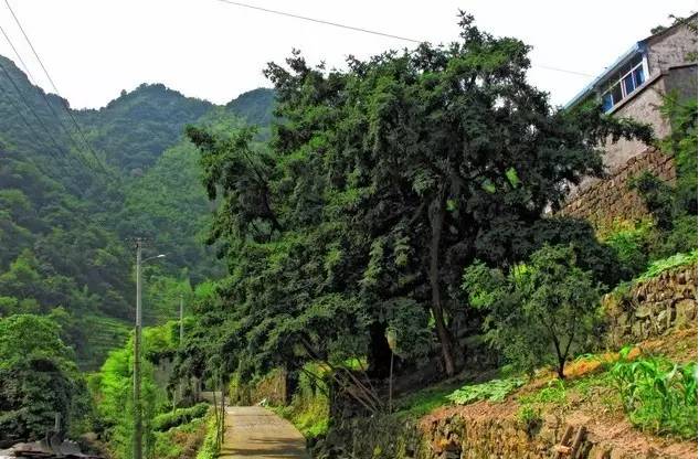 走不完的山川大地,走不完的川西看不完的美景