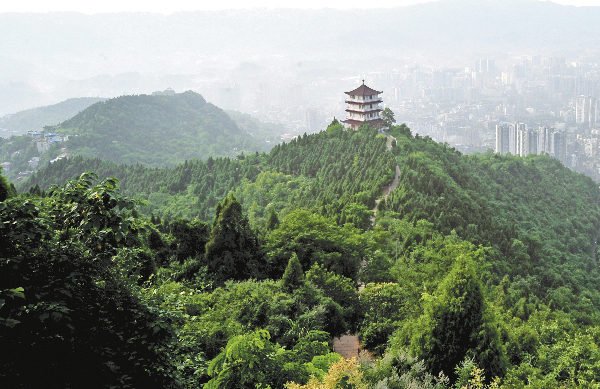 达州未来十年发展蓝图,砥砺奋进的五年视频