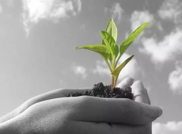 「分享」拿什么献给您？我亲爱的病人朋友！