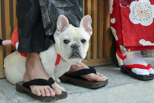 佳能eosm100基础教程,佳能eosm100效果