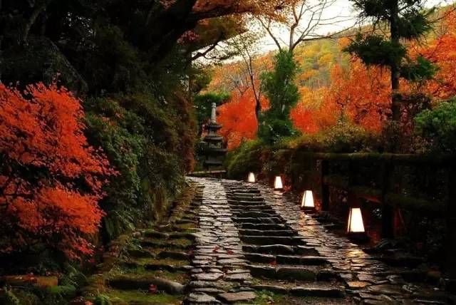 虹夕诺雅酒店测评,虹夕诺雅酒店是什么档次