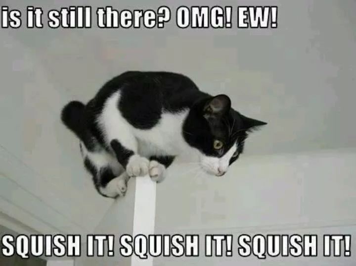 现在你可以免费*载下**到霍金的论文啦｜小南早报