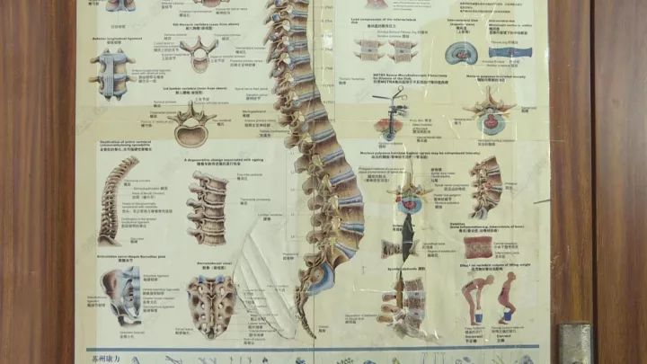 十四岁男孩腰痛是什么原因导致,十四岁少年腰痛是什么原因