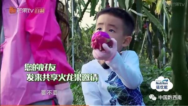 2022年万峰林机场航班时刻表,万峰林机场航班时刻表2023