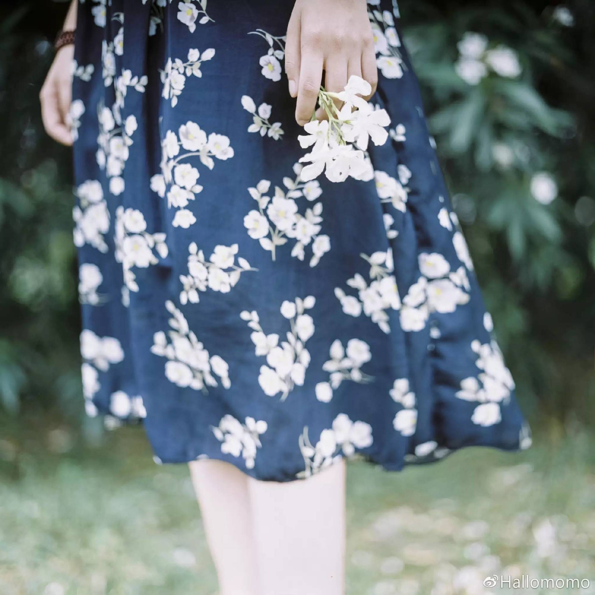 中画幅胶片机推荐,有哪些值得买的胶片机