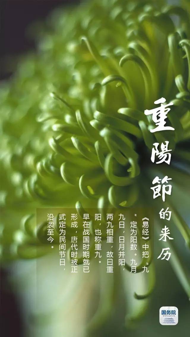 九月重阳节最新消息,九月九重阳节注意些什么
