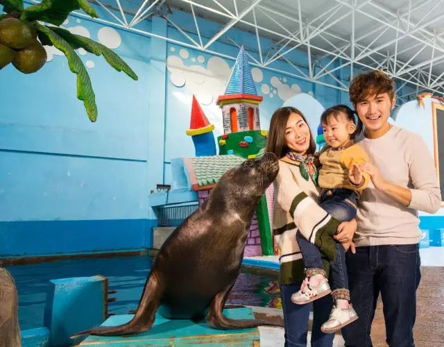 蓬莱都有哪些神仙,蓬莱神仙最多的地方