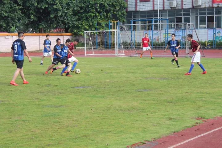 「村居行」荷叶田田，古韵悠扬！寻访禅城这条古村，沉醉不知归路