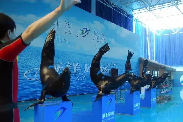 蓬莱都有哪些神仙,蓬莱神仙最多的地方