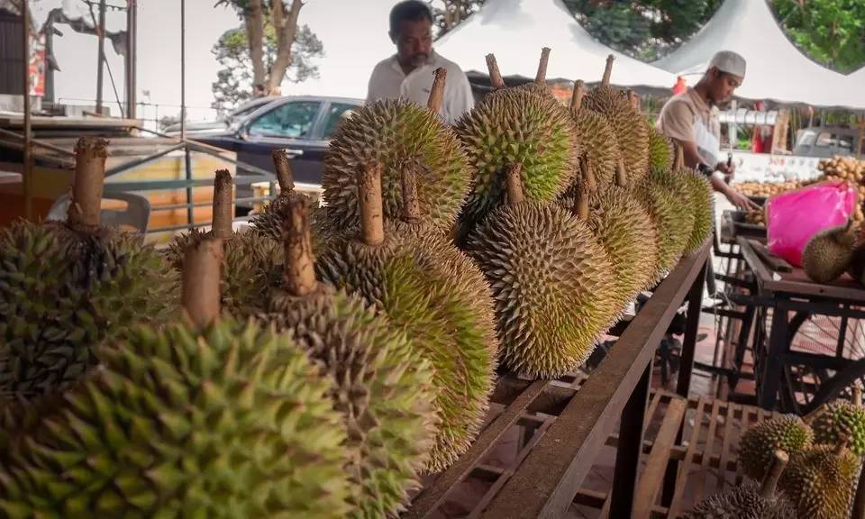 学生*党**的购物天堂在这里！马来血拼攻略独家分享