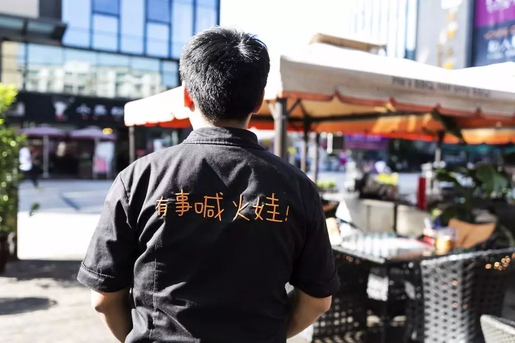 净海鹰餐饮,净海鹰简介