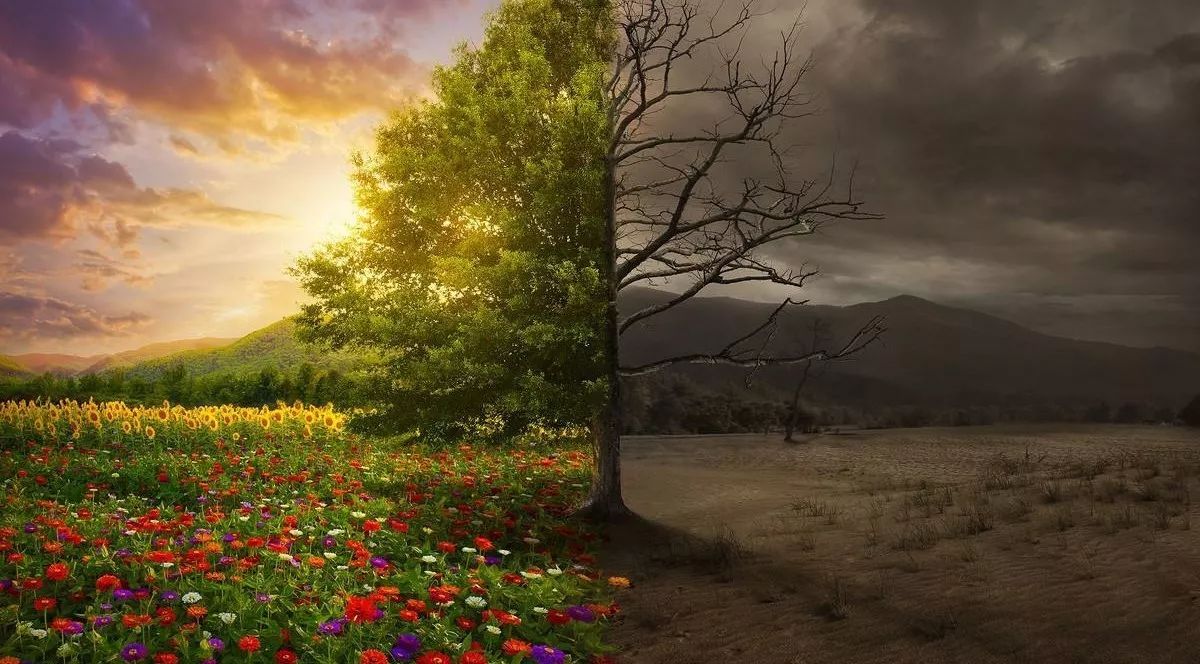 英伦范儿扮靓中国“芯”,MG能否让世界飘扬中国红?