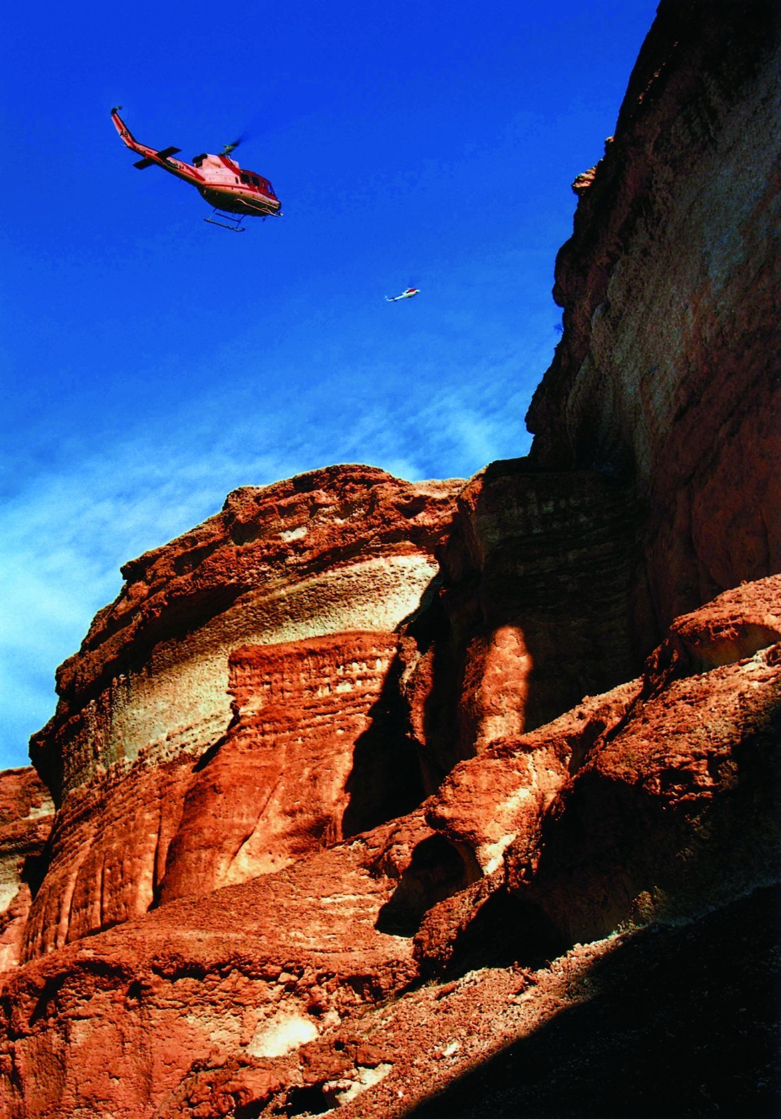 辉煌成就筑梦未来,辉煌成就振奋人心