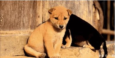 有什么方法可以缓解春困,春困怎么办教你一招轻松解决方法