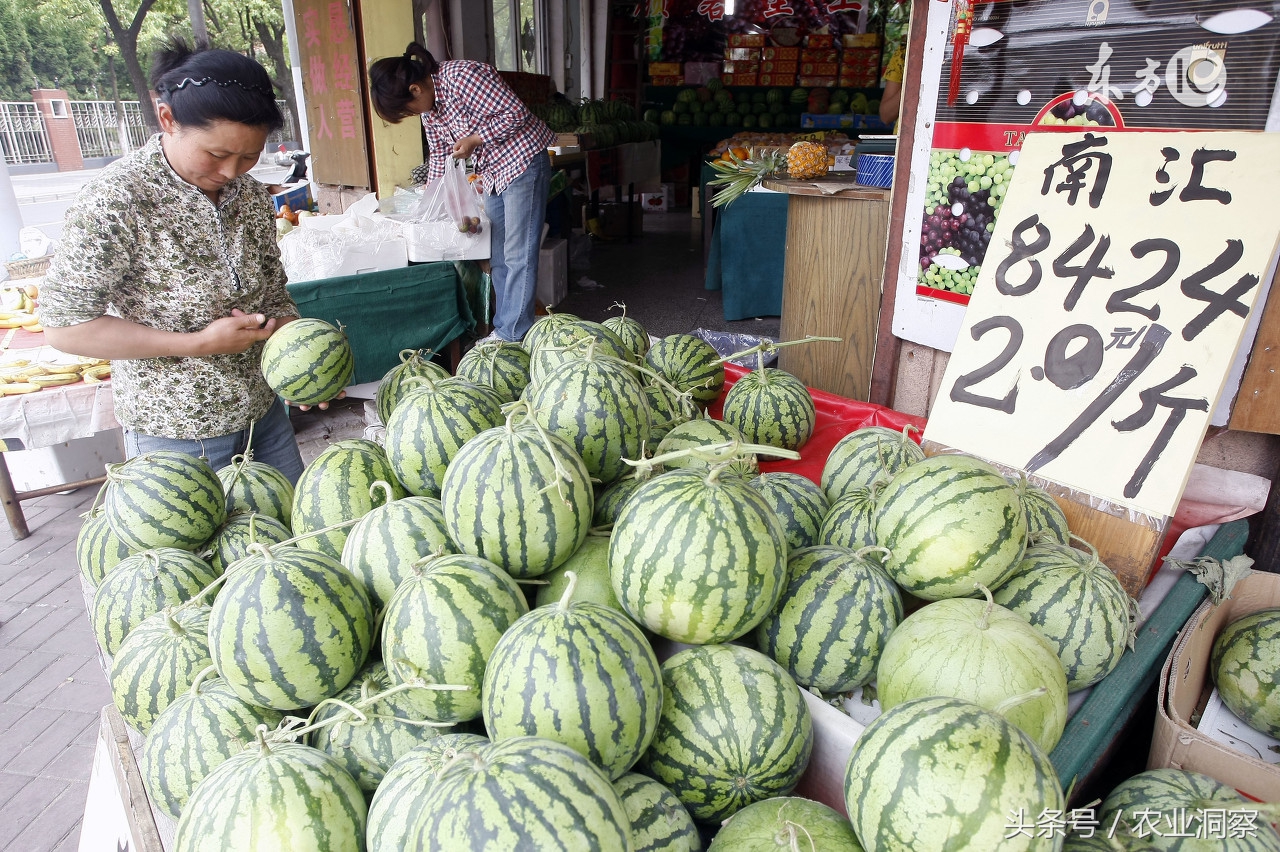 2019年5月7日全国西瓜价格,2018年7月中旬西瓜价格