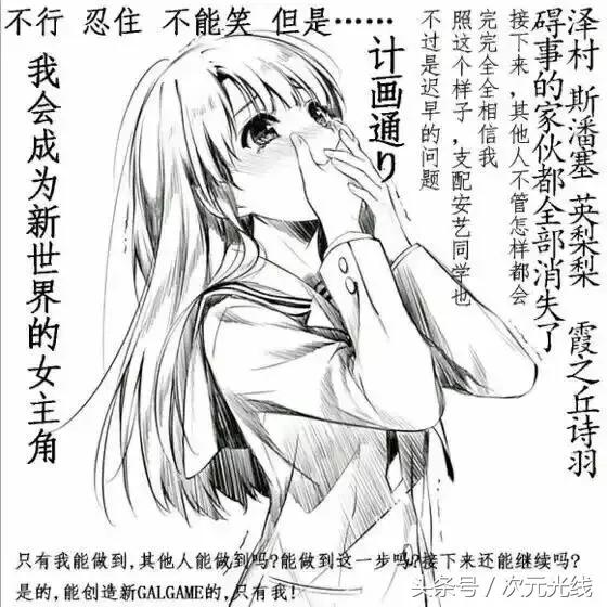 自己制作galgame游戏软件,galgame必玩作品养成