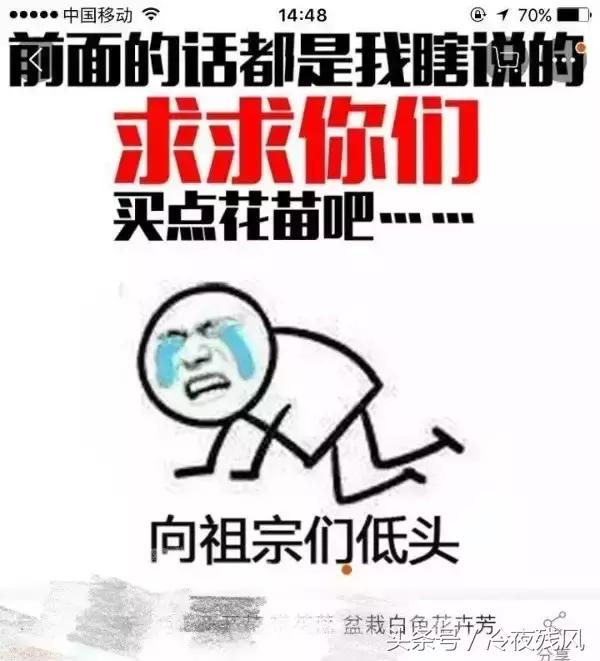 电商史上最全最搞笑锦集，笑成了200斤的胖子