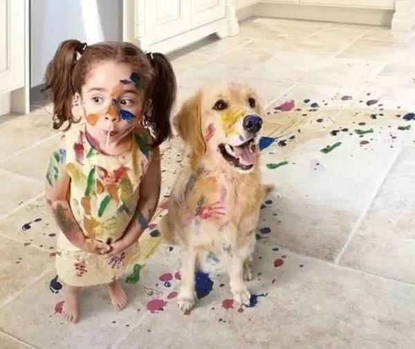 备孕可养狗狗吗,想备孕能养狗狗吗