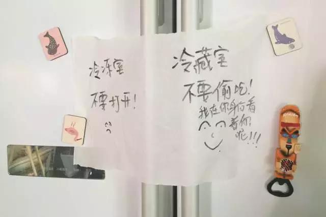 我把整个超市扔进了冷冻室，没想到还挺好吃