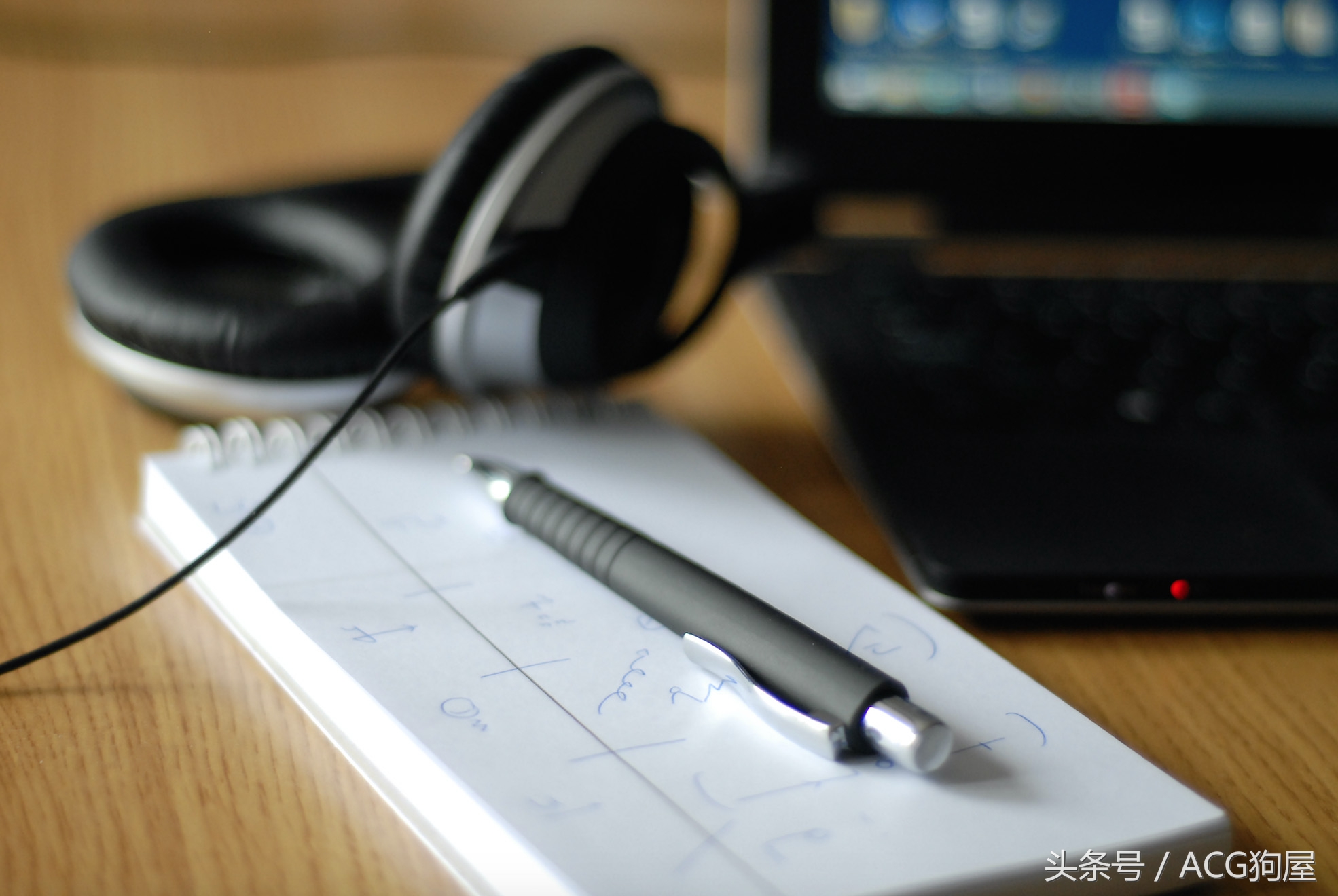 别谈爱那是耍流氓，200元一天请全程口译的B站到底搞错了什么