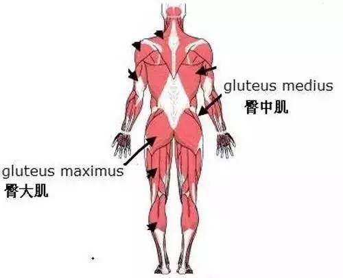 胯上的肉很多怎么办,胯两边的肉是不是瘦了就自然消失