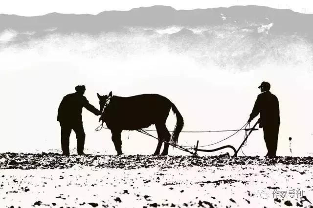 庆阳周祖农耕文化,庆阳周祖农耕文化图片