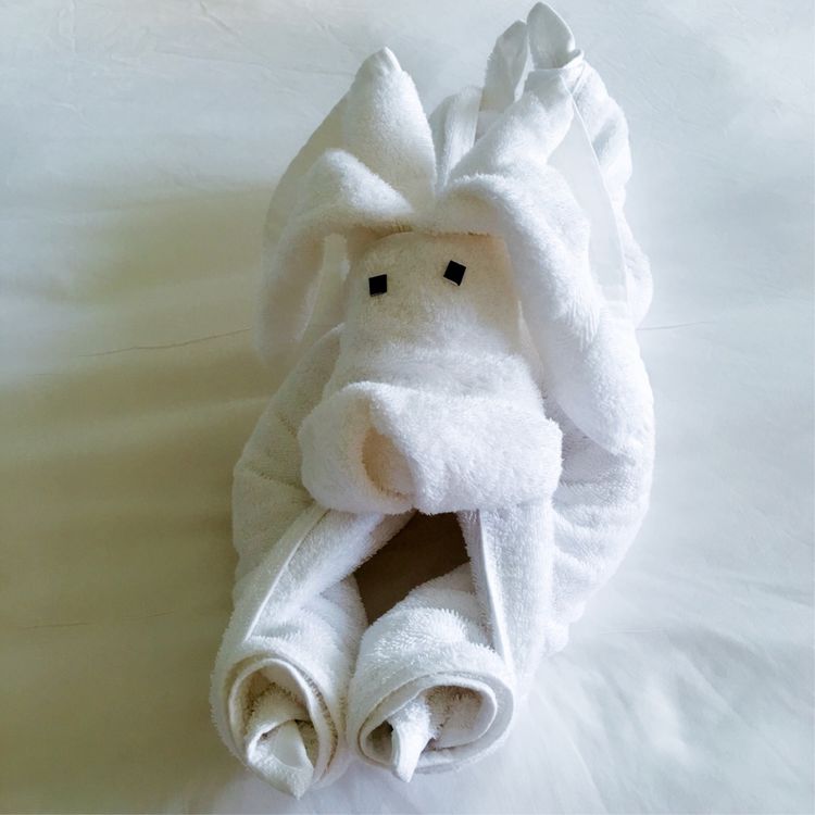 三亚之旅摄影,三亚之旅游艇