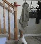 姑娘玩足球视频,妹子足球教学