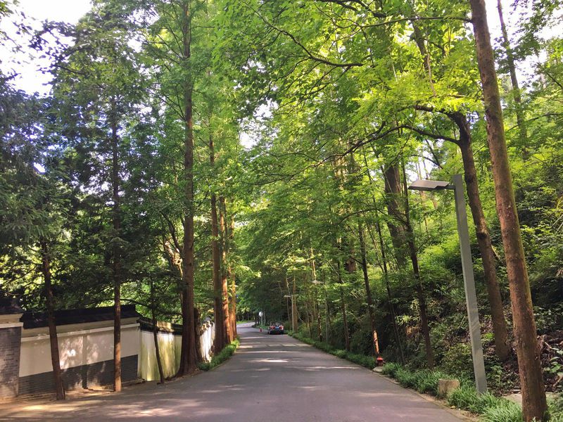 一场说走就走的夏日旅游,一场说走就走的山水旅游
