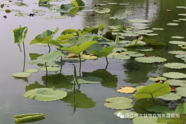 内蒙火山草原露营地推荐,北甘旗自驾车露营地