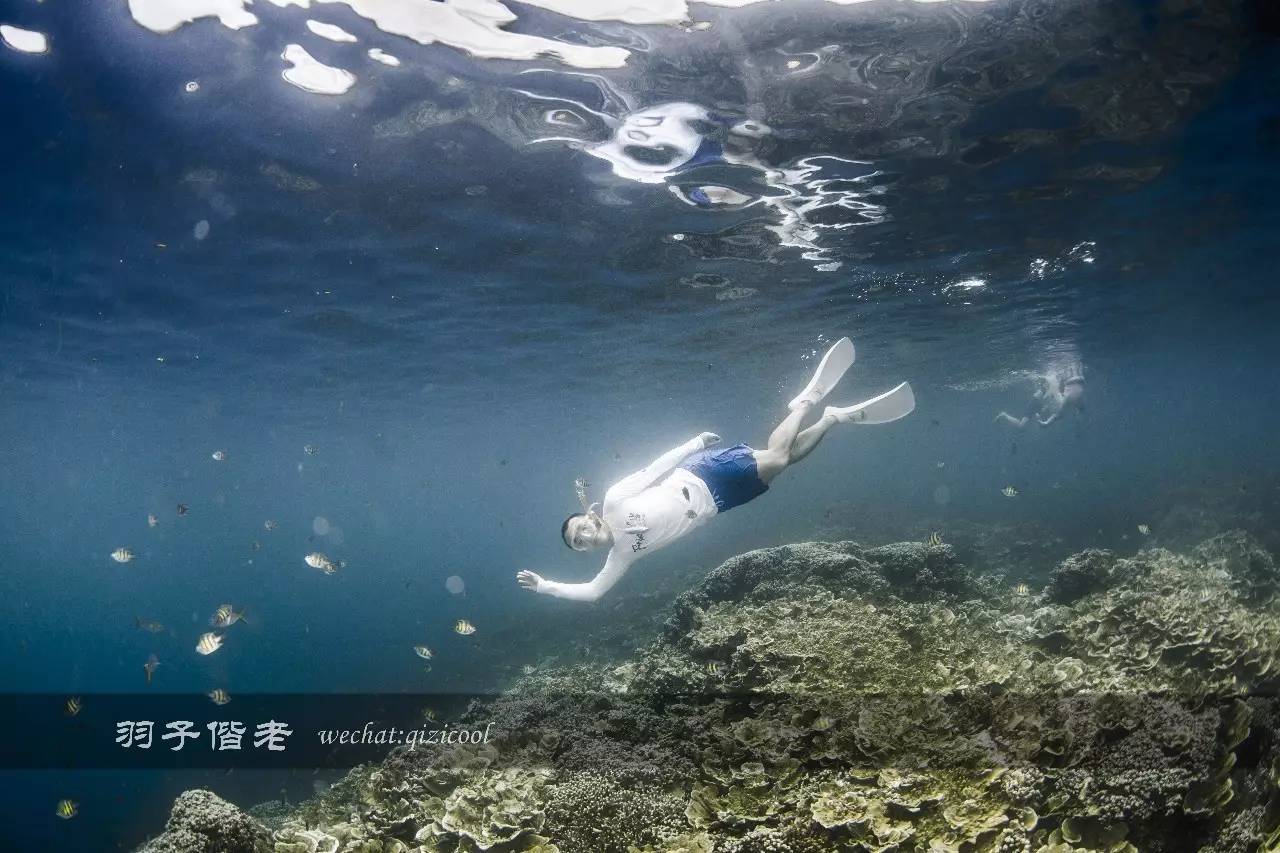 帕劳旅游发展的前景,去帕劳注意事项和必备品