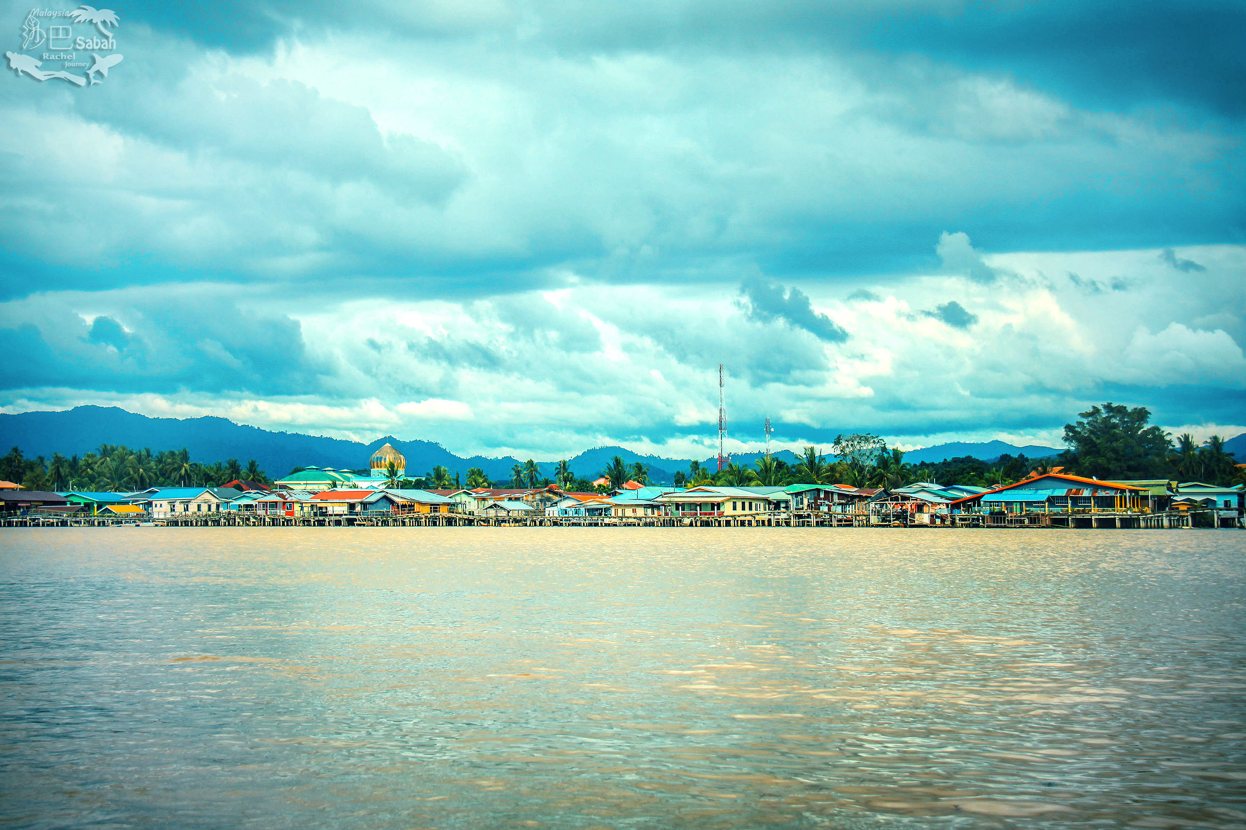 热带雨林是毒还是美威士顿红树林里有怎样的奥秘