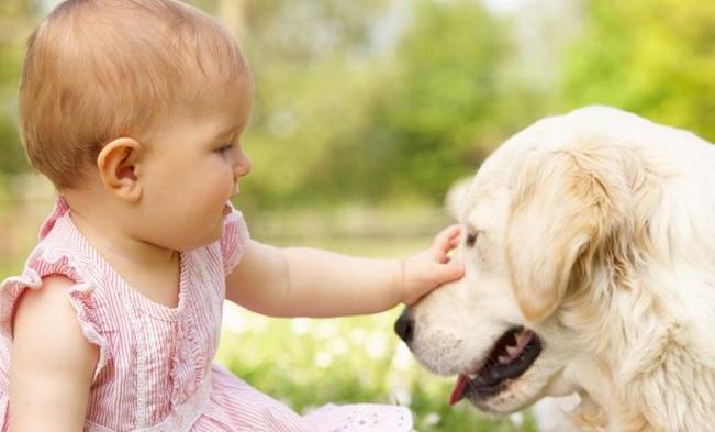 十个妈妈9个坑,十个妈妈