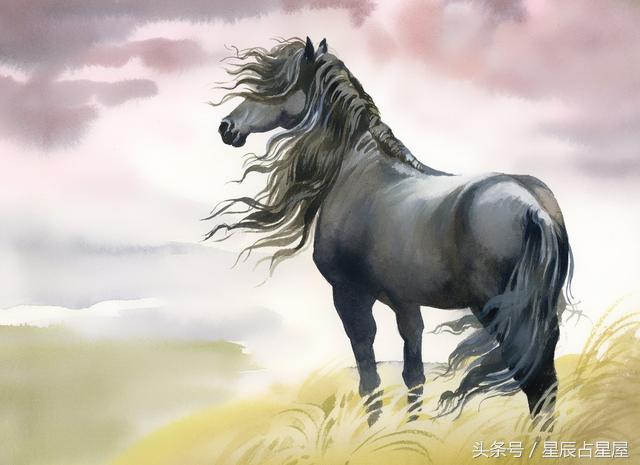 生肖马运势2021情感运势,生肖马运势2024年运势化解