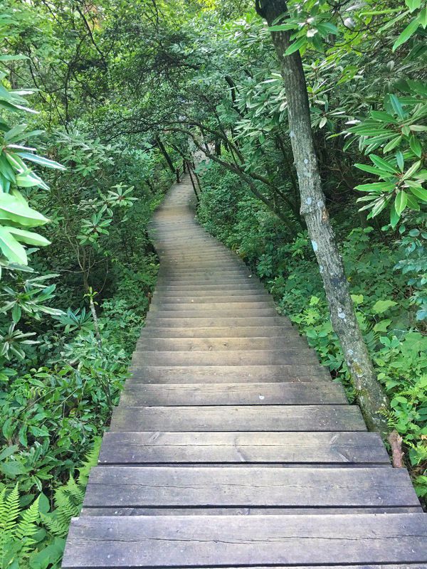 一场说走就走的夏日旅游,一场说走就走的山水旅游
