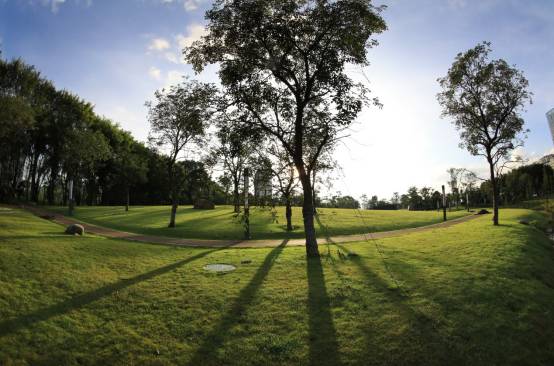 又多了一个免费约会公园！空中栈道、荔枝林、*瑰园玫**，环境超棒的！