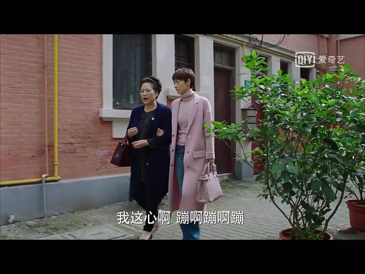 我的前半生唐晶为什么对罗子君好,我的前半生原著中的子君和唐晶