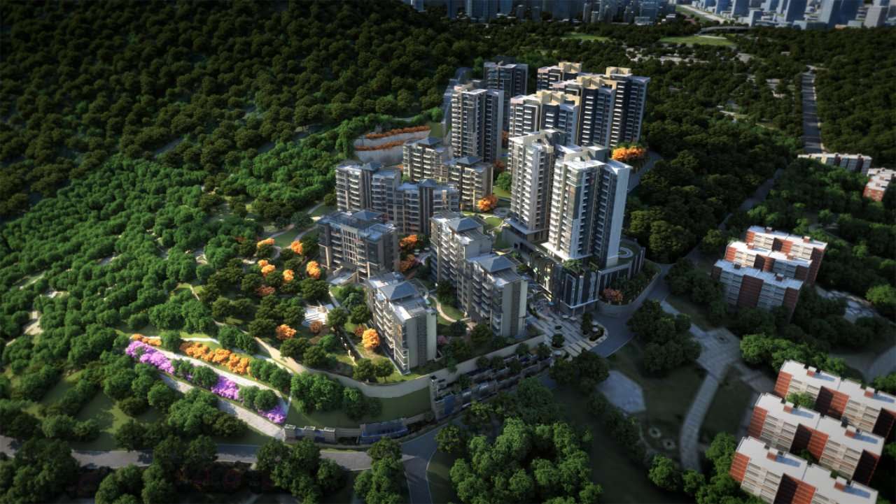 赤湾蛇口,赤湾在前海吗