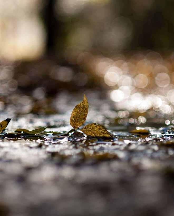 左岸时光，右岸回眸，在心里约定陪你到永远
